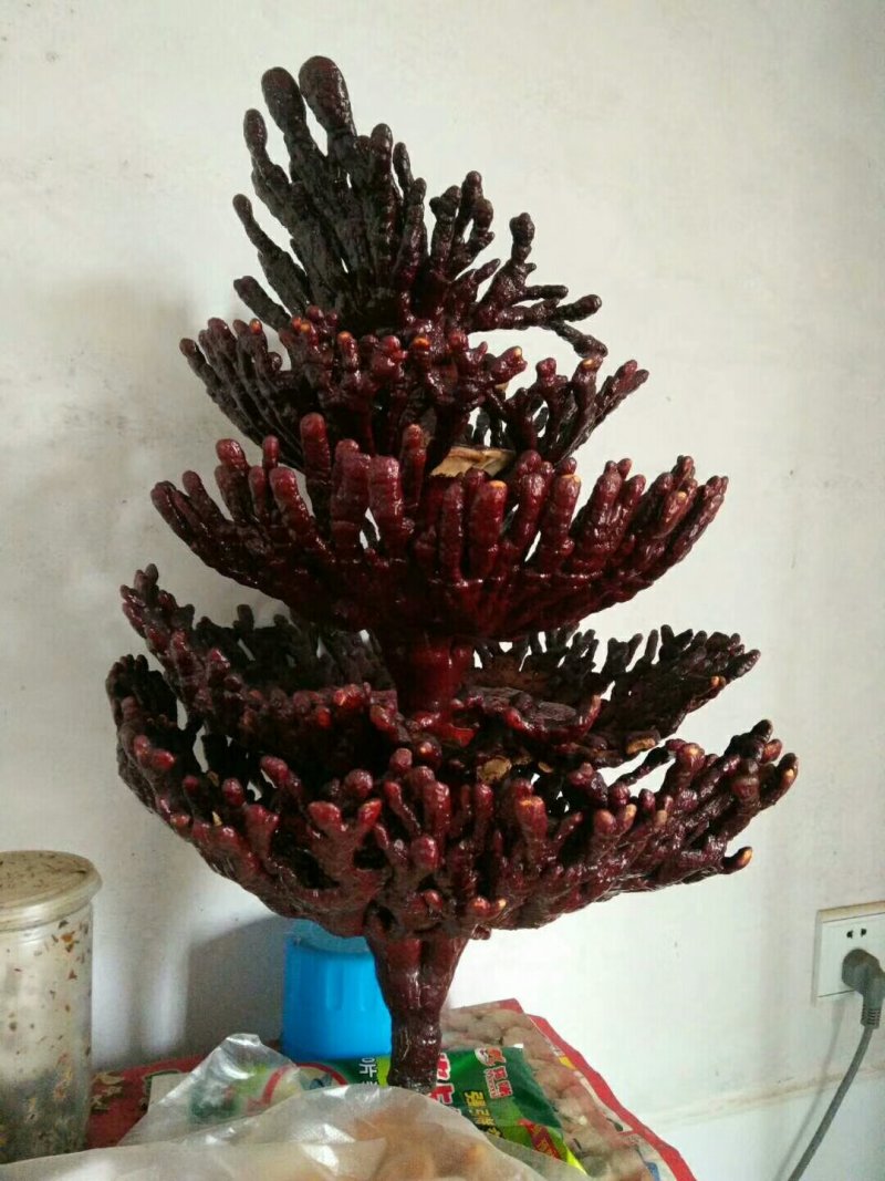 灵芝孢子粉