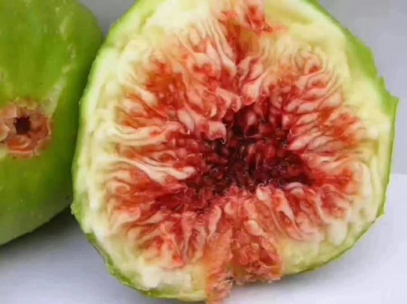 无花果一件代发