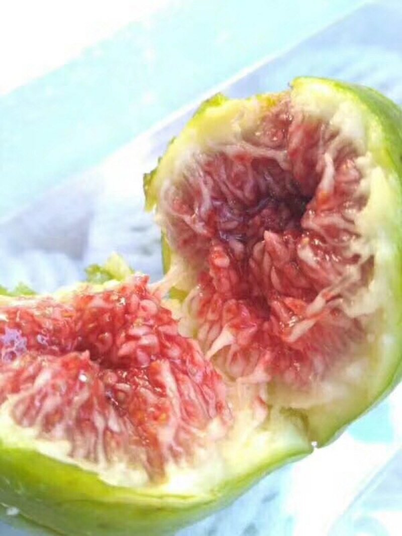无花果一件代发