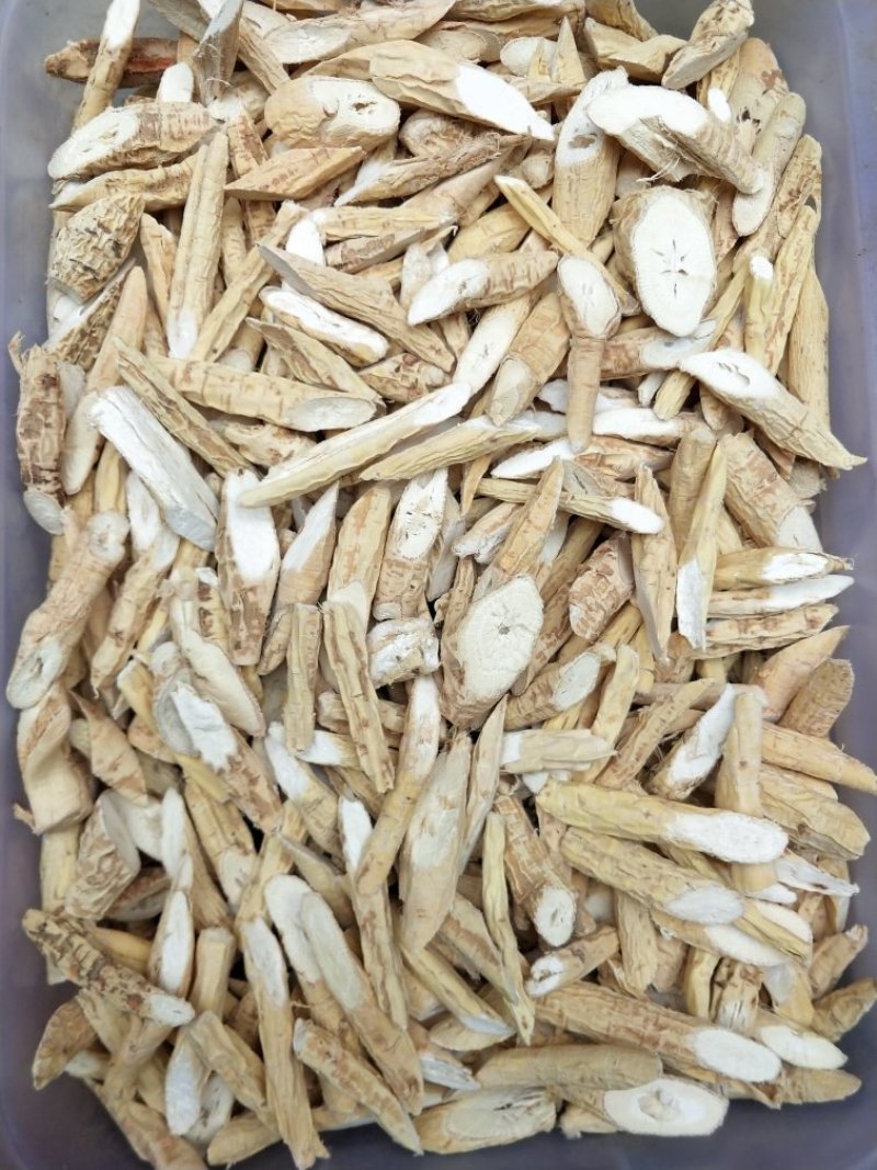 牛大力中干片