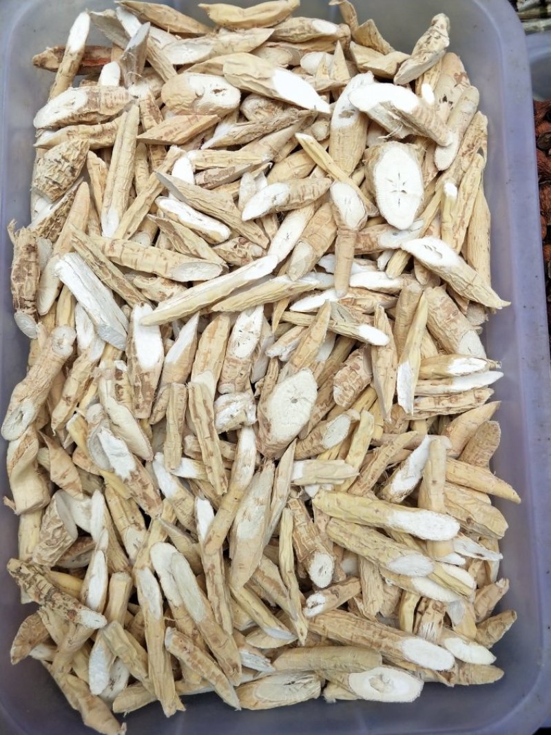 牛大力中干片