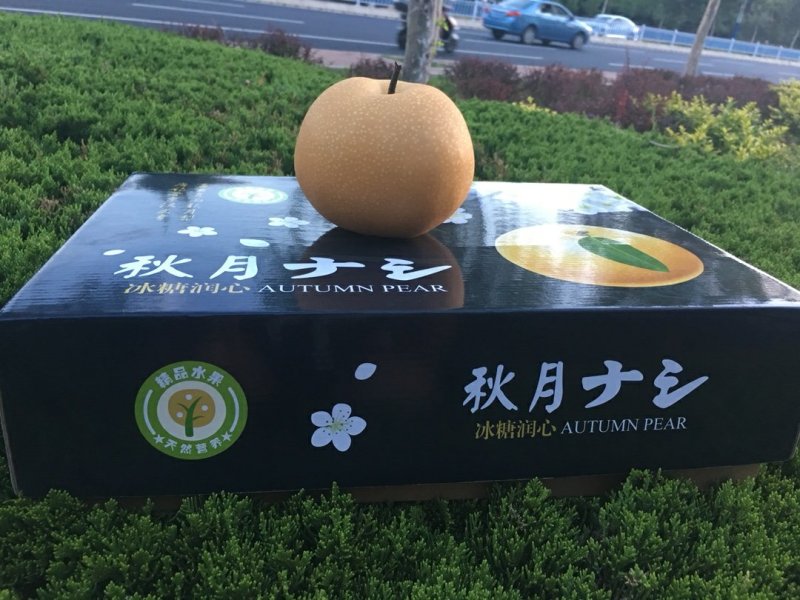 秋月梨
