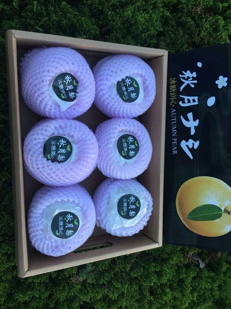 秋月梨