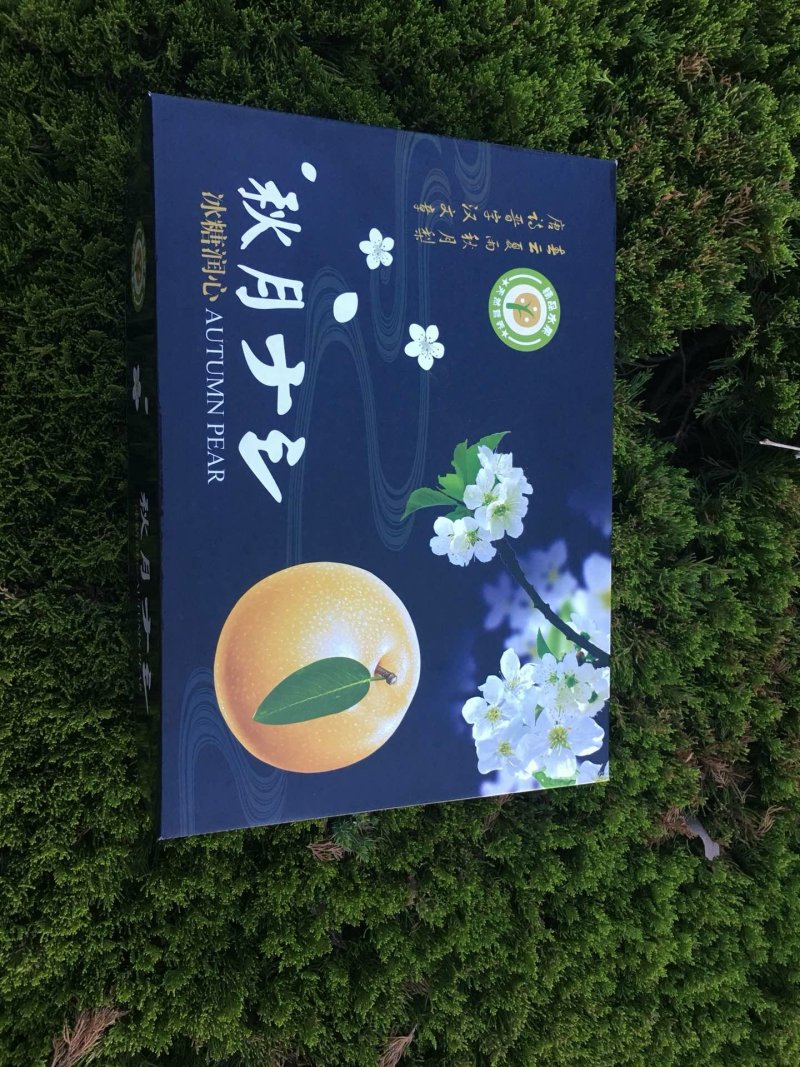 秋月梨