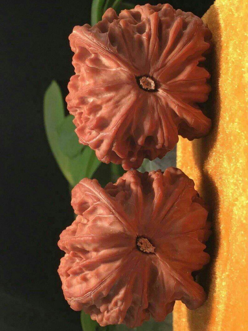 文玩核桃