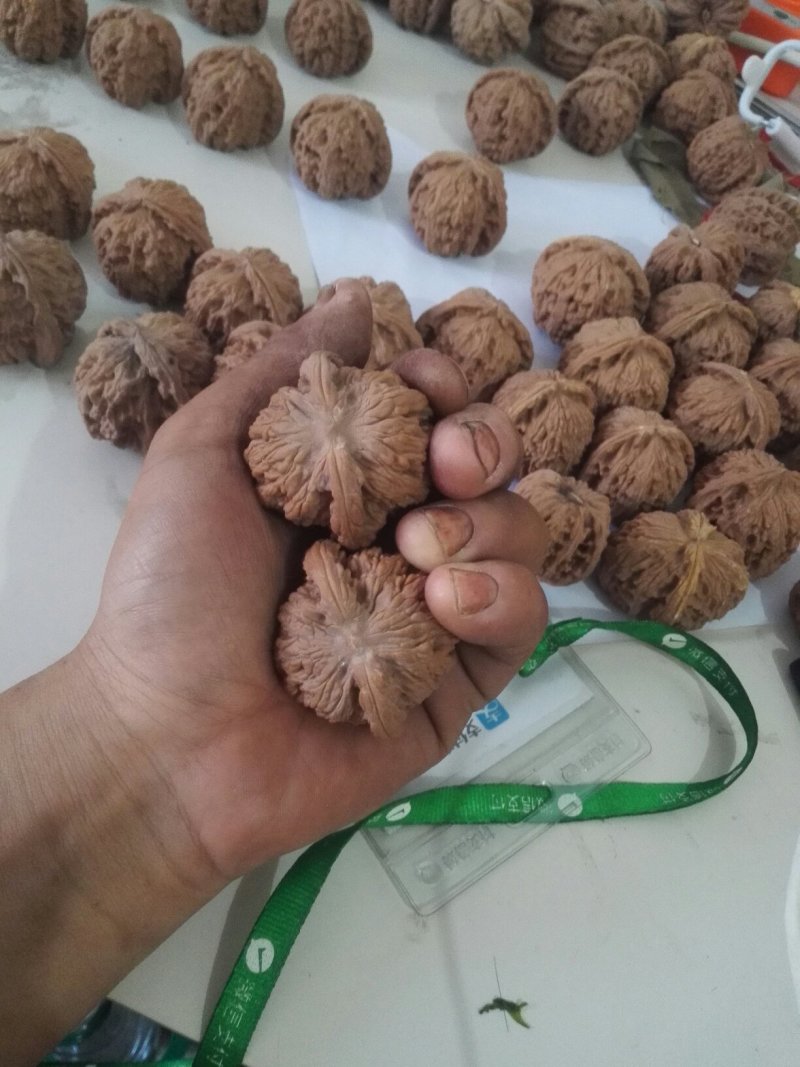 文玩核桃