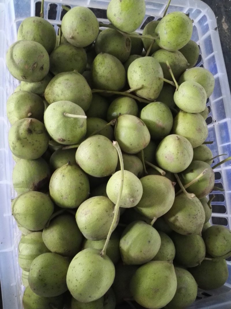 文玩核桃