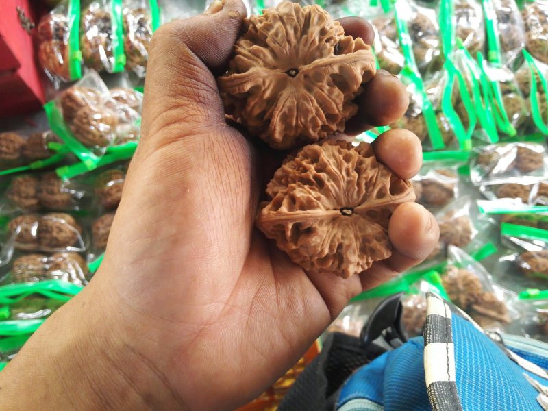 文玩核桃
