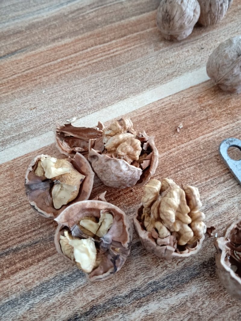 核桃干货