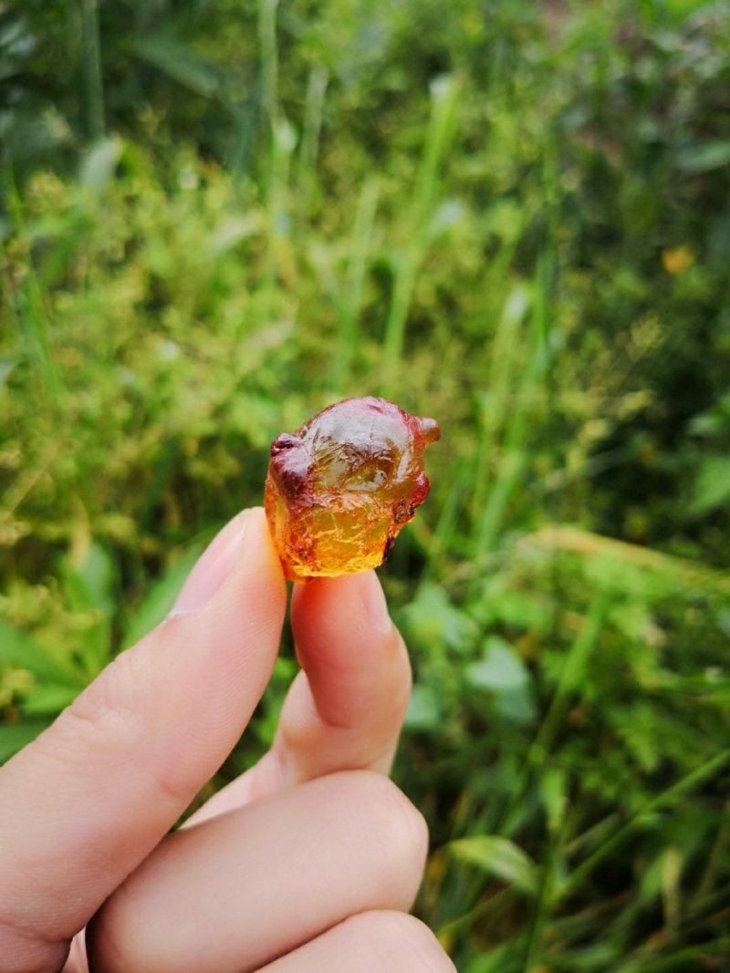 特级桃胶