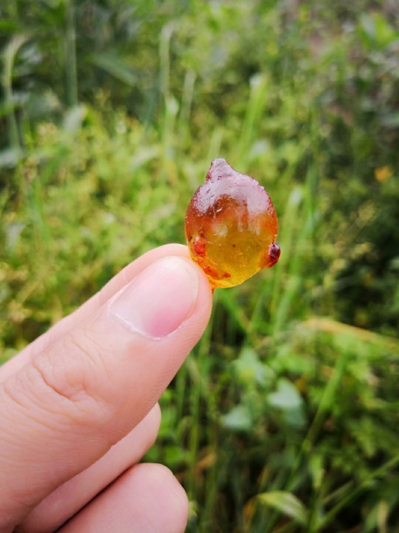 特级桃胶