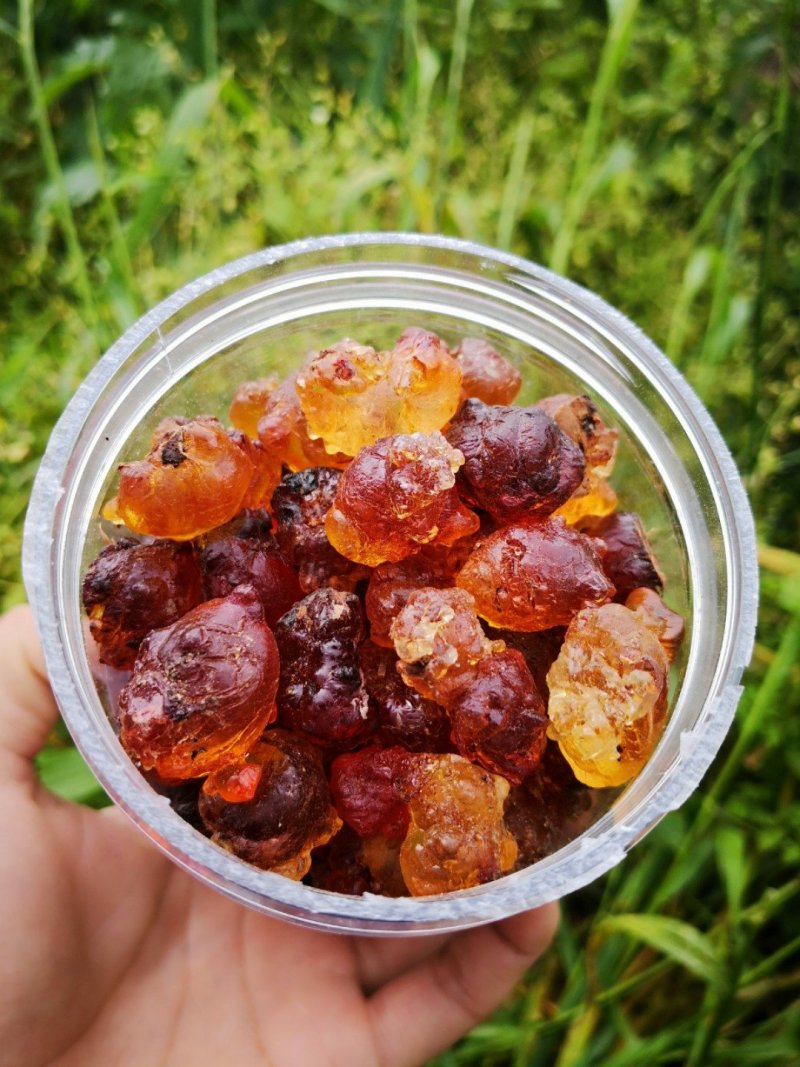 特级桃胶