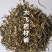 瞿麦河南1公斤起批无硫无添加不包邮只做正品