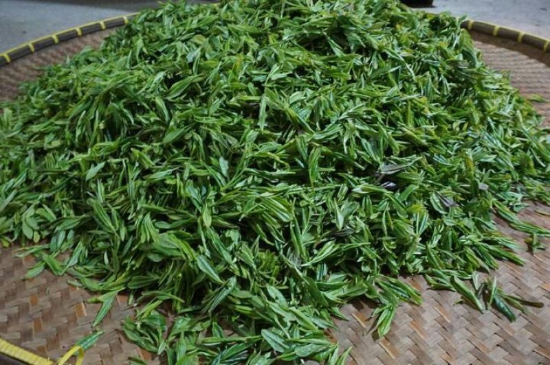 婺源有机绿茶——云雾茶，高山自然条件生长，不施肥不打药！