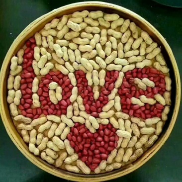粒小饱满的红衣花生