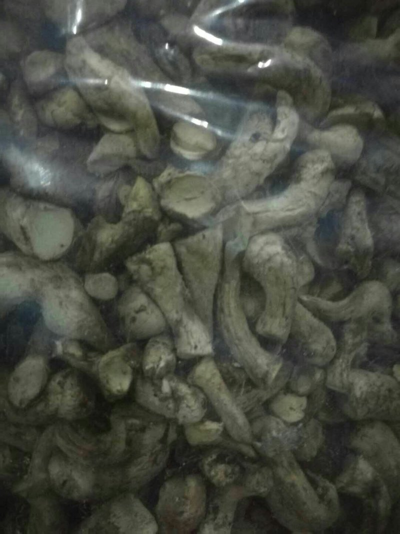 香菇把