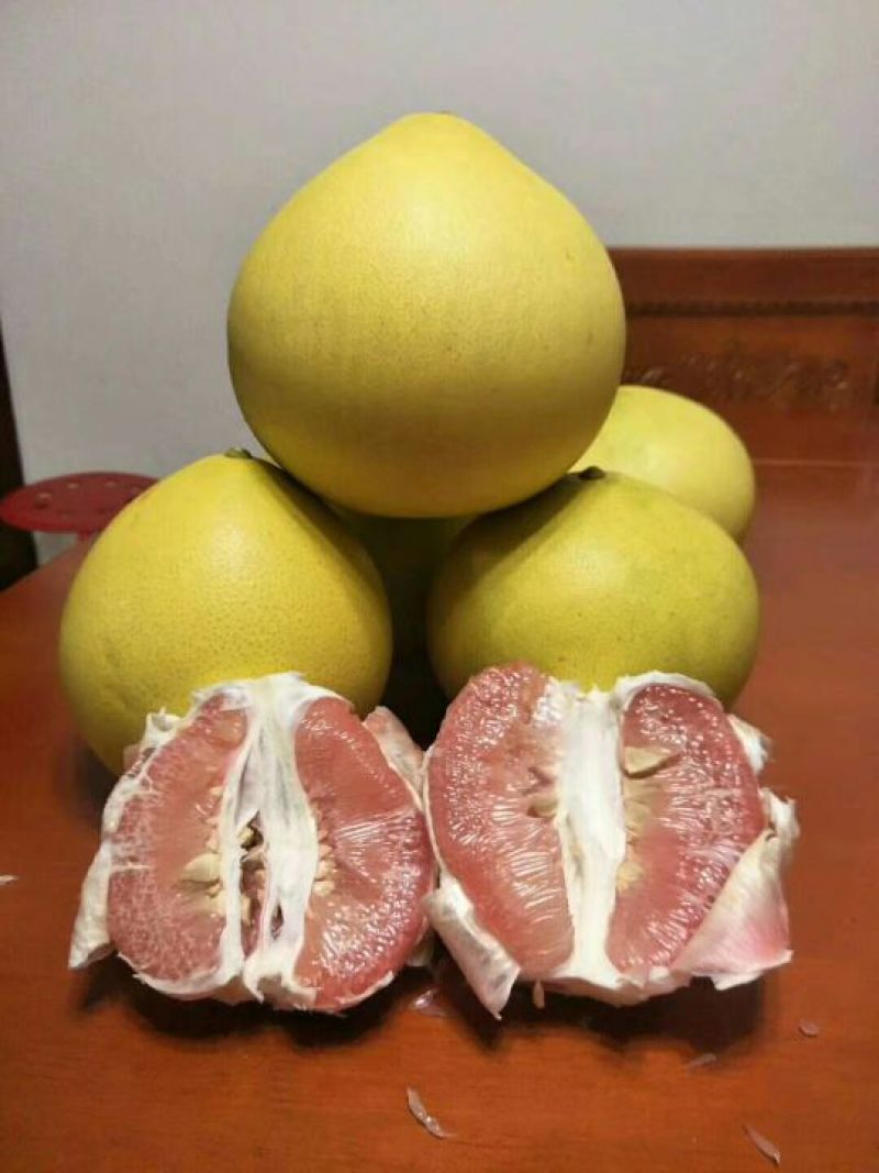 广西容县自家蜜柚