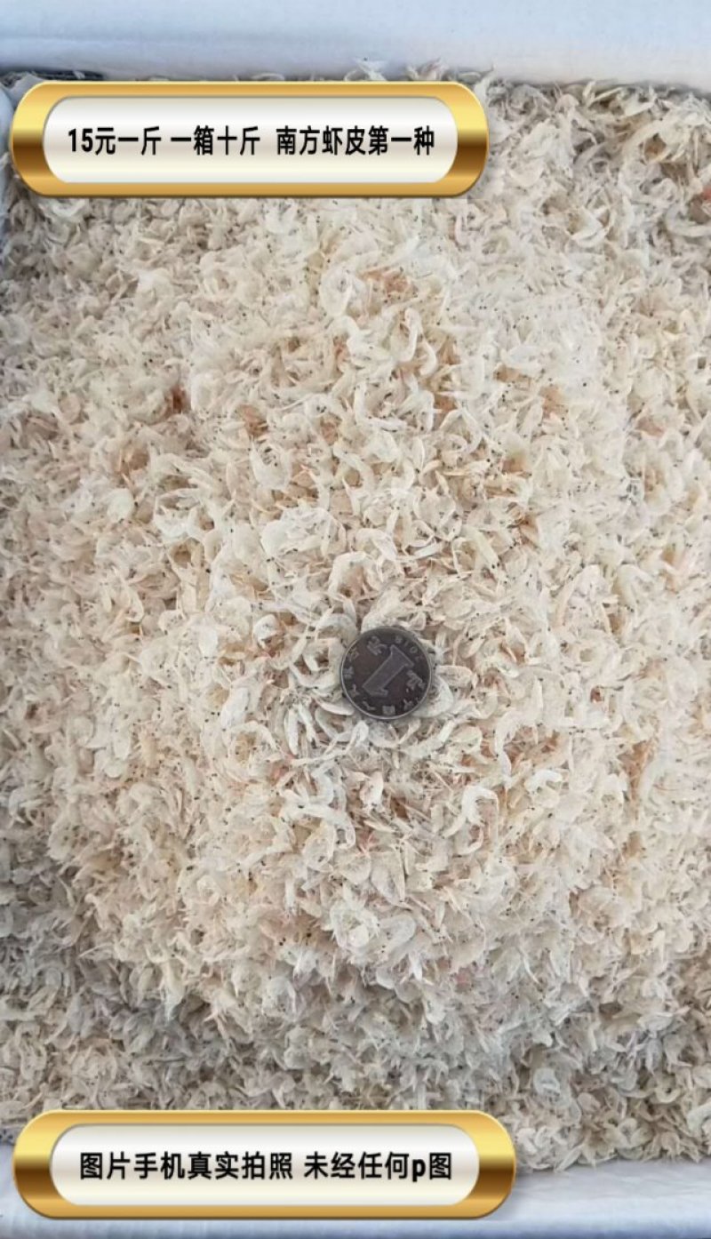 虾皮