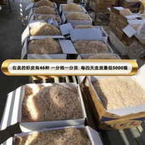虾皮