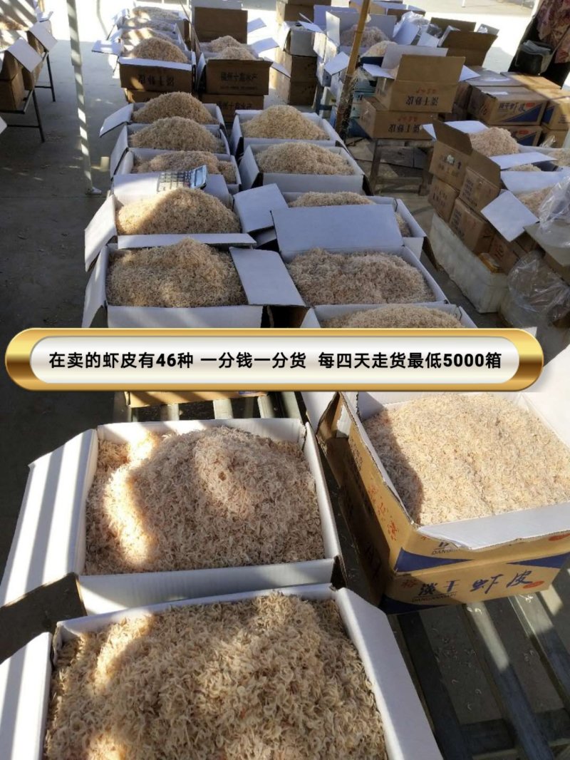 虾皮