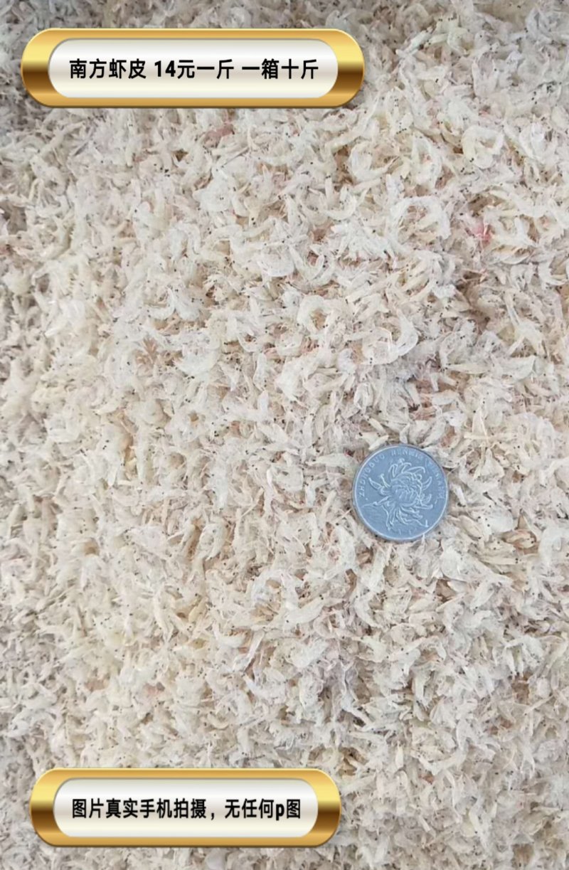 虾皮