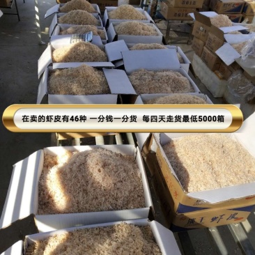 虾皮