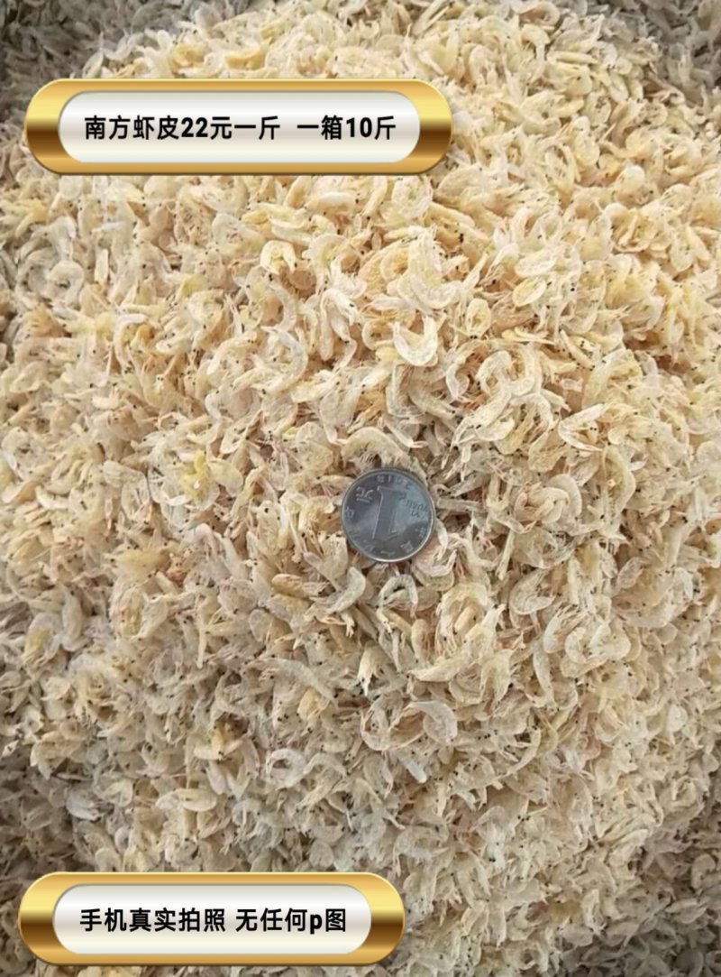 虾皮