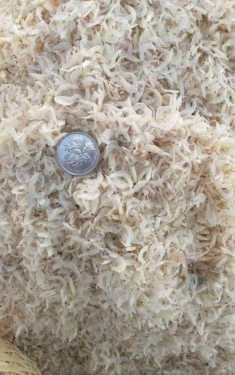 虾皮