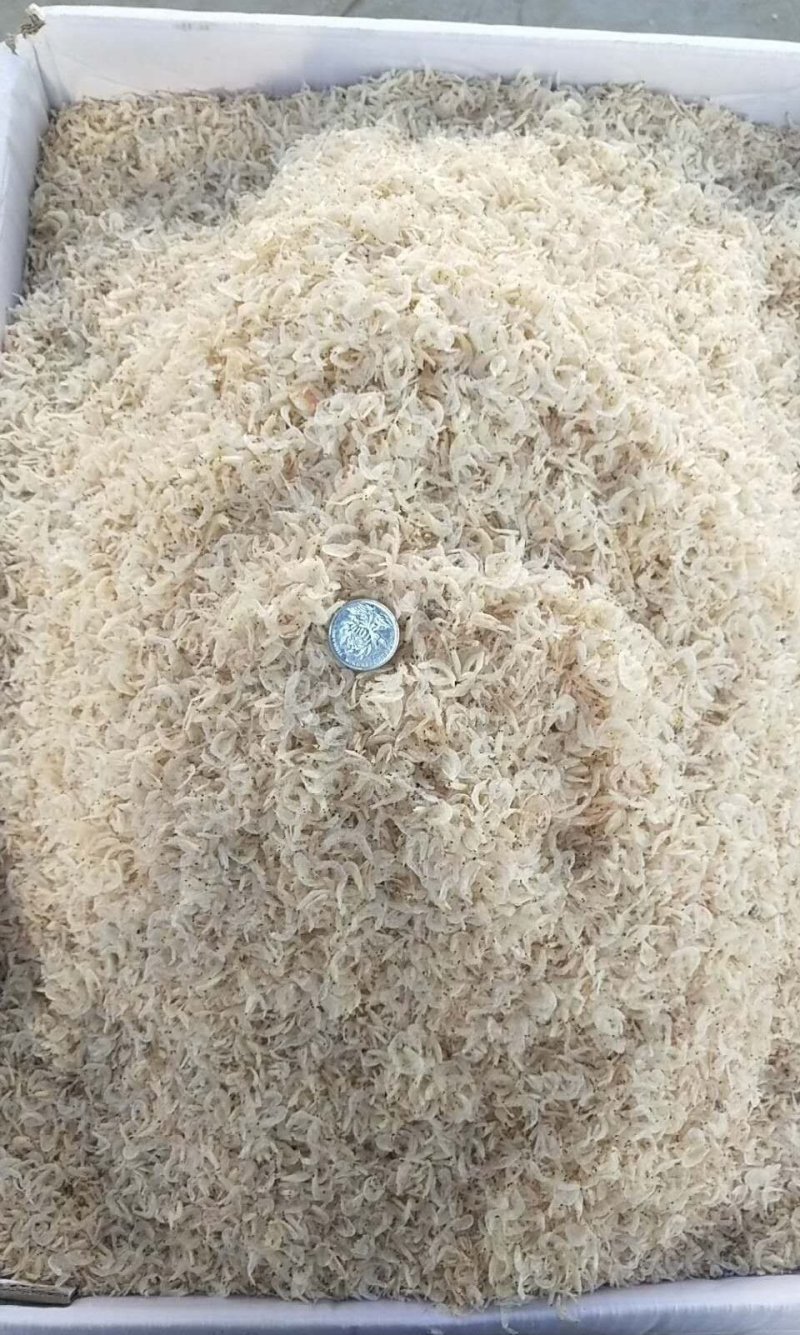 虾皮