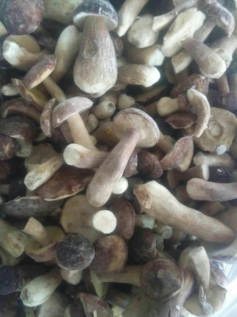 美味牛肝菌冻品