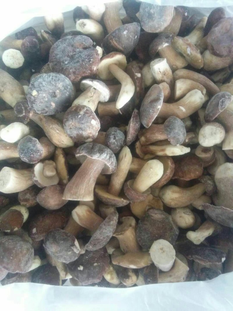 美味牛肝菌冻品