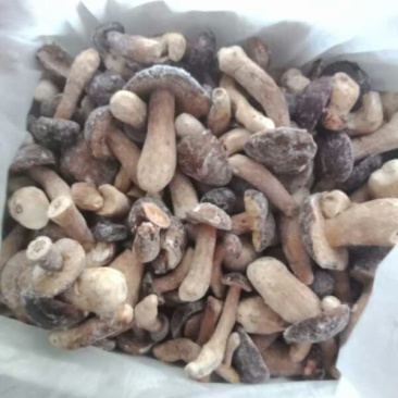 美味牛肝菌冻品