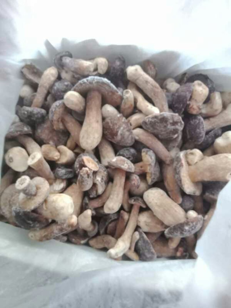 美味牛肝菌冻品