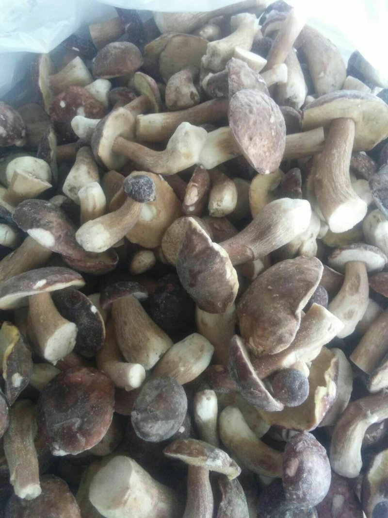 美味牛肝菌冻品