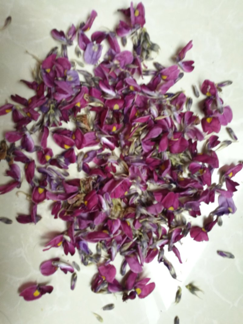 葛花大货供应今年新货