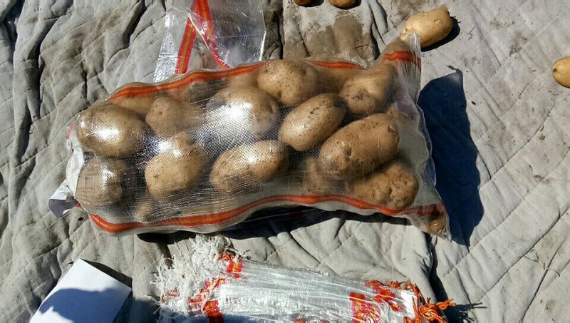 干洗226价格美丽
