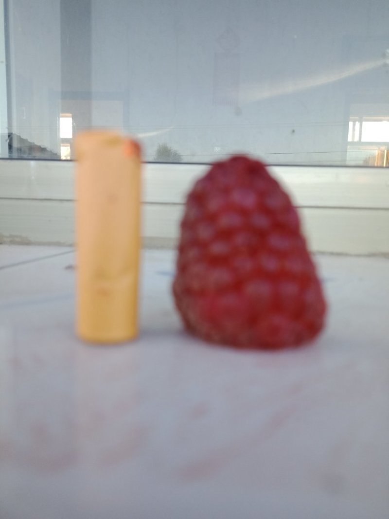 双季树莓苗秋萍预定中