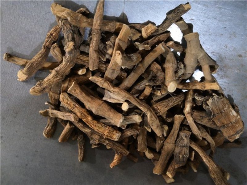 三白草根百节藕