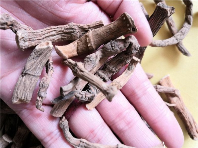 三白草根百节藕