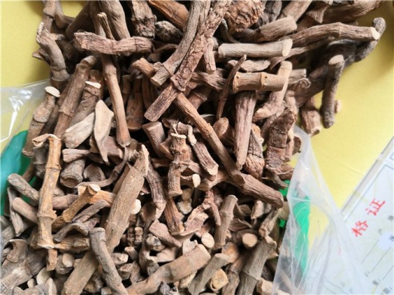 三白草根百节藕