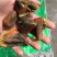 猪蹄甲制猪蹄甲