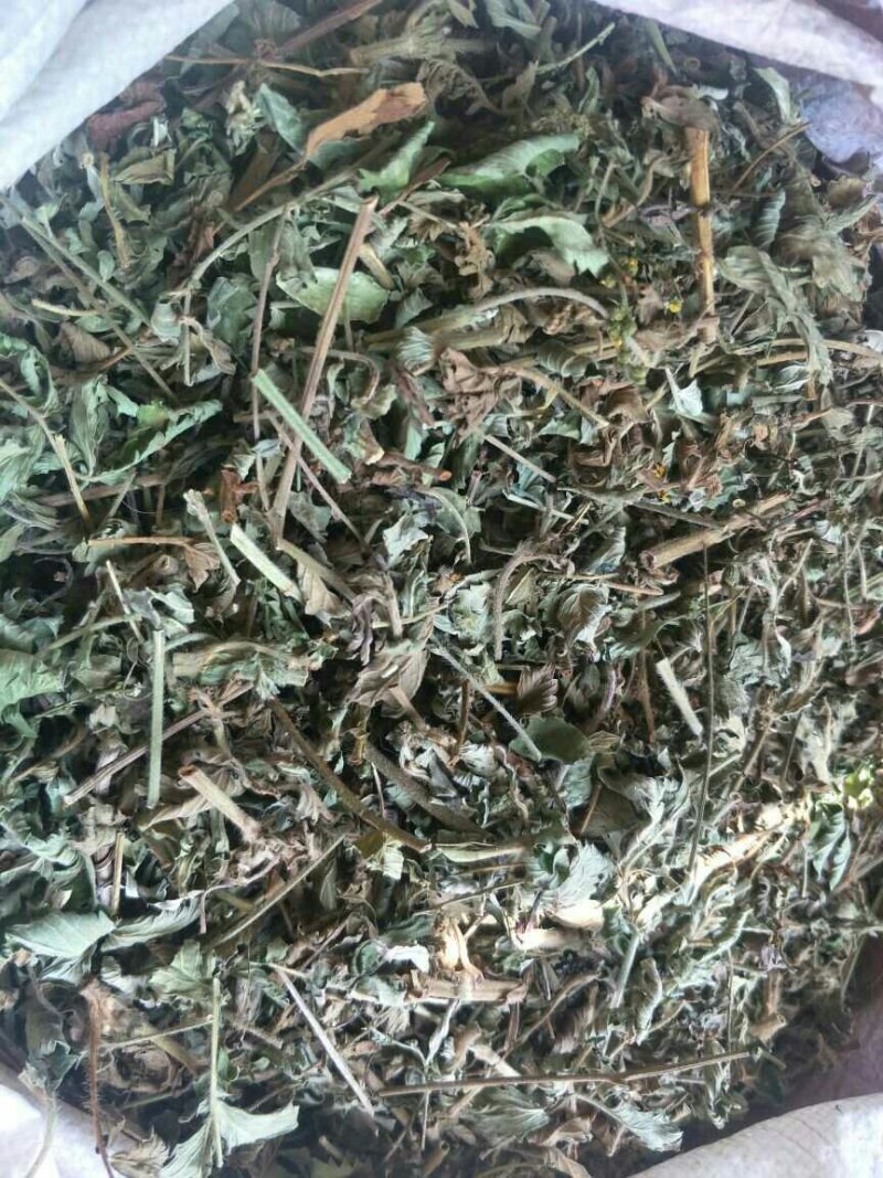 仙鹤草