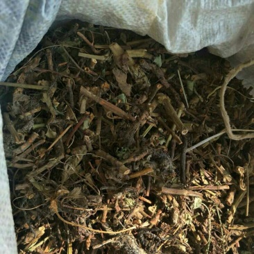 仙鹤草