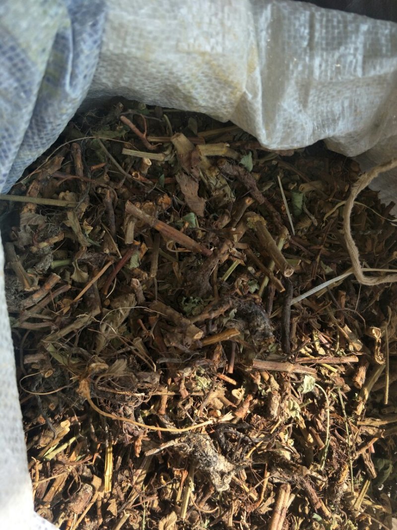 仙鹤草