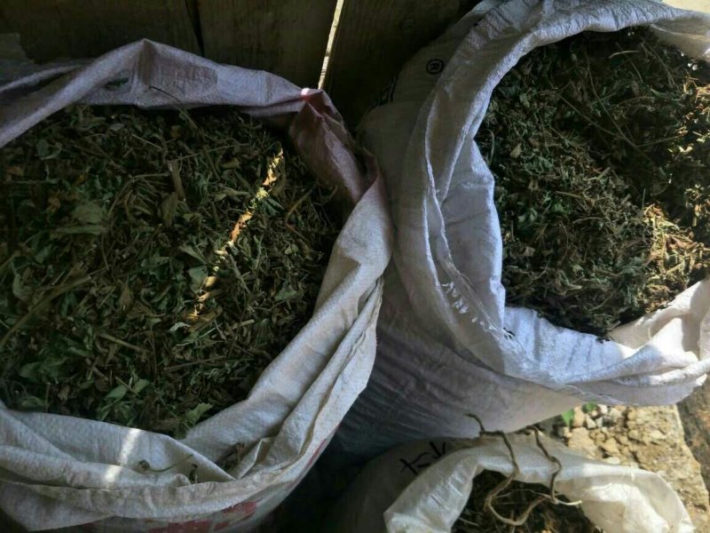 仙鹤草