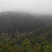 山西运城夏县咱老家土特产专业合作社黑木耳地标标志产品