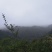 山西运城夏县咱老家土特产专业合作社黑木耳地标标志产品