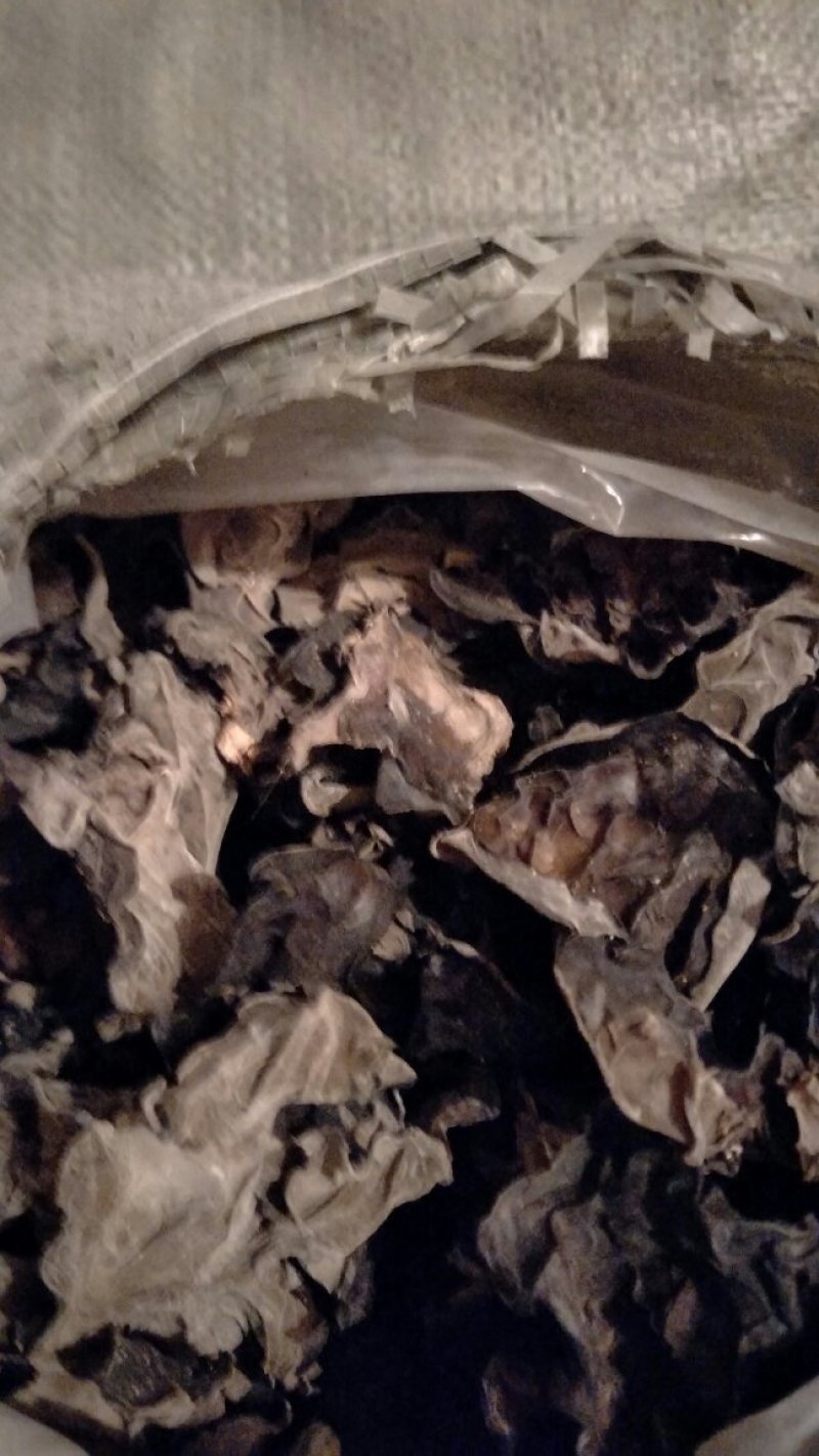 山西运城夏县咱老家土特产专业合作社黑木耳地标标志产品
