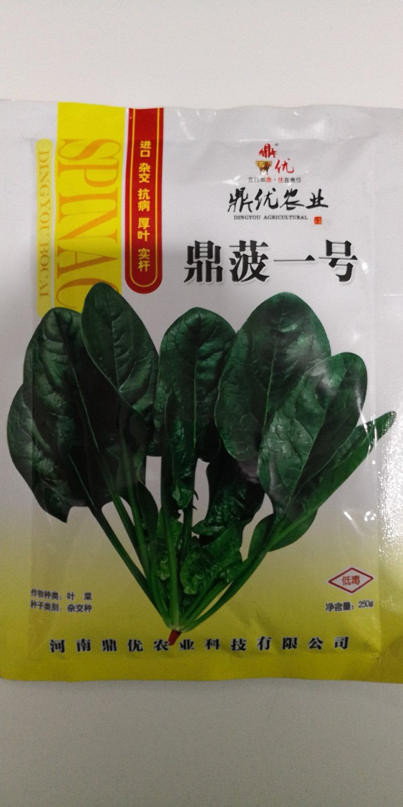 鼎菠一号菠菜