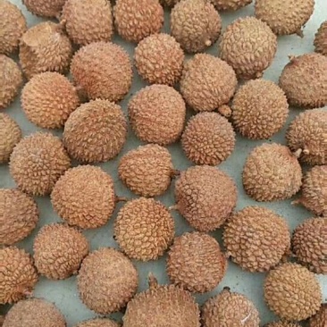 高州特级荔枝干（桂味干）货源充足稳定干度够